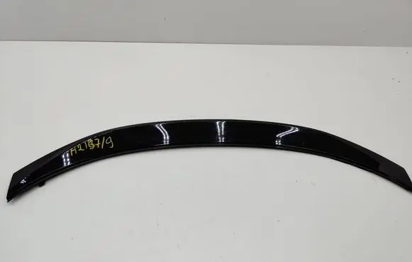 Toyota C-HR I Rear door trim (molding) 76812F4120