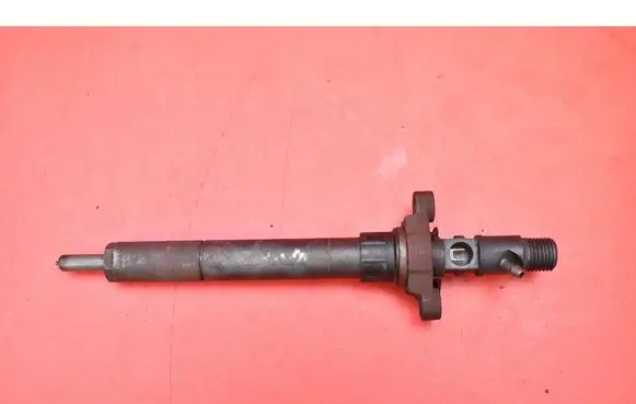 Citroen C5 Fuel injector 9656389980