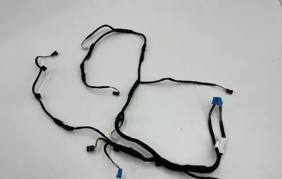 Mercedes-Benz S W222 Front door wiring loom A2225402604 250613 DB6M952125