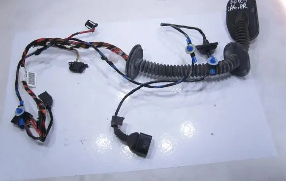 Front door wiring loom