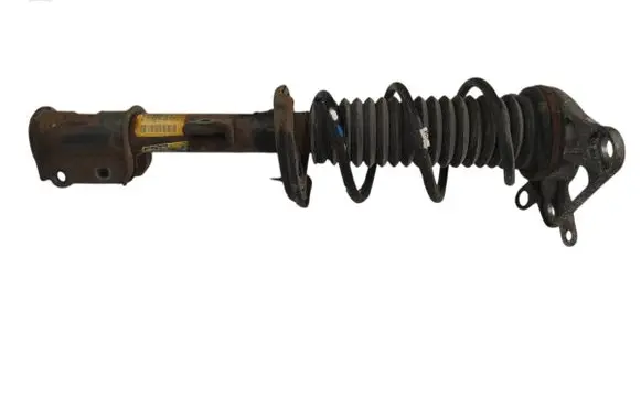 Jeep Renegade Rear shock absorber with coil spring 00520121370