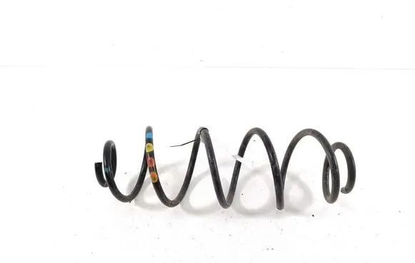 Rear coil spring