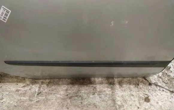 Renault Laguna II Rear door trim (molding) 
