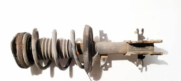 Renault Laguna III Front shock absorber/damper