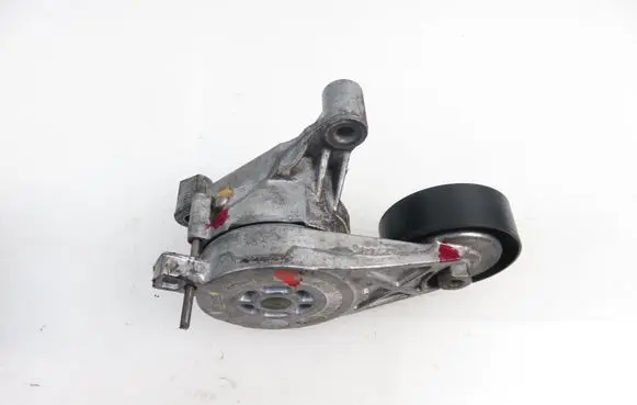 Volkswagen PASSAT B6 Timing belt/chain tensioner 950445