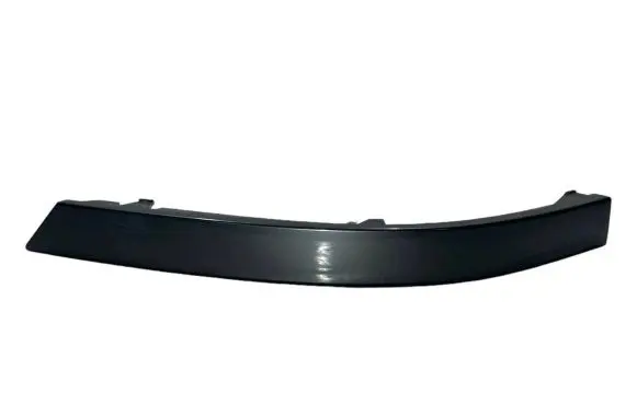 Rear/tail light trim molding