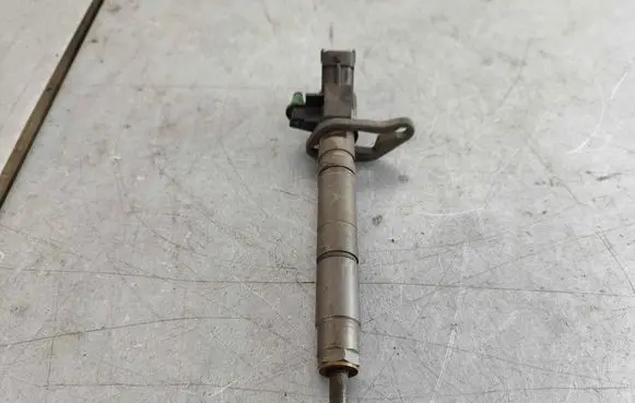Land Rover Range Rover L405 Fuel injector LR066229 LR054298