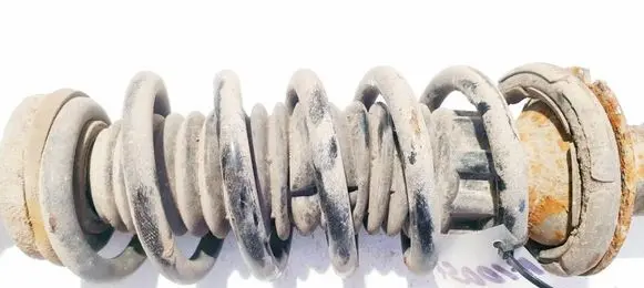 Citroen C5 Rear coil spring