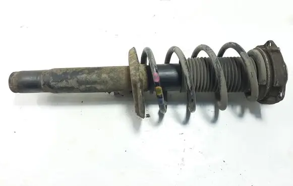 Volkswagen Golf V Front shock absorber/damper 