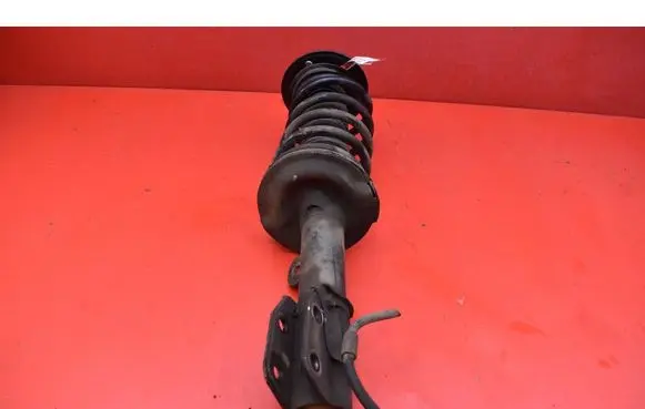 Chevrolet Captiva Front shock absorber/damper