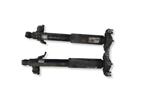 Opel Insignia A Rear shock absorber with coil spring 