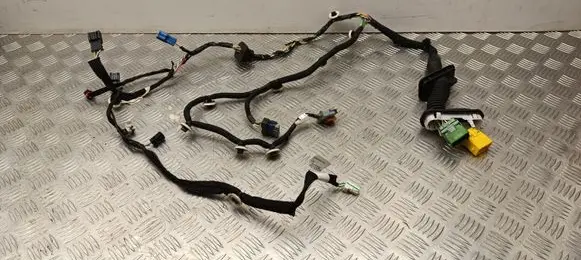 Peugeot 2008 II Front door wiring loom 9851338680