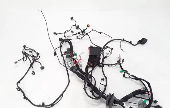 Renault Scenic IV - Grand scenic IV Other wiring loom 403885541R