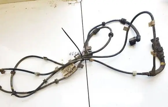 Other wiring loom