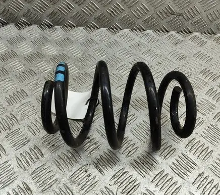 Rear coil spring