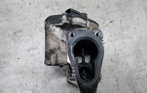EGR valve