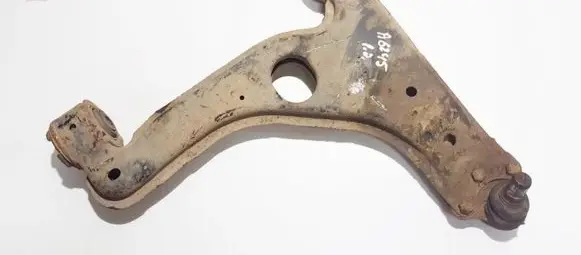 Front lower control arm/wishbone