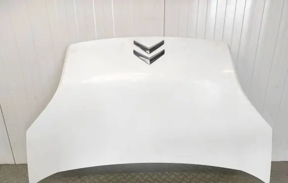Citroen Nemo Engine bonnet/hood 51789394