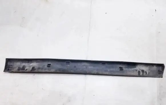 Front door trim (molding)
