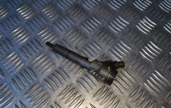Citroen Xsara Picasso Fuel injector 0445110062