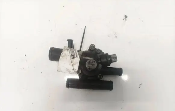 Nissan Primera Engine coolant pipe/hose
