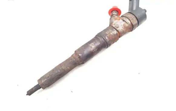 BMW X5 E53 Fuel injector 7785984 0445110047