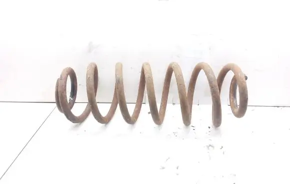 Volkswagen PASSAT B6 Rear coil spring