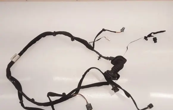 Renault Clio III Front door wiring loom 8200504550F