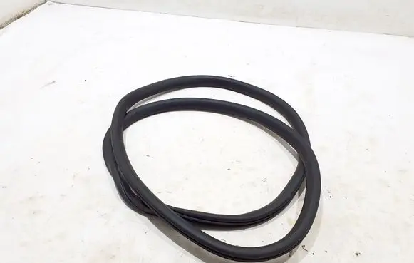 Ford Mach-E I Rear door rubber seal (on body) LJ8B-R20709-AC