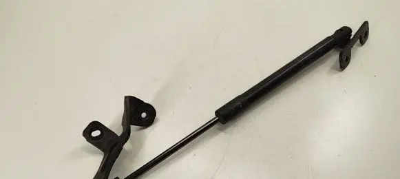 Tesla Model 3 Front bonnet/hood damper/strut 109147200B 100884100C 101164200B