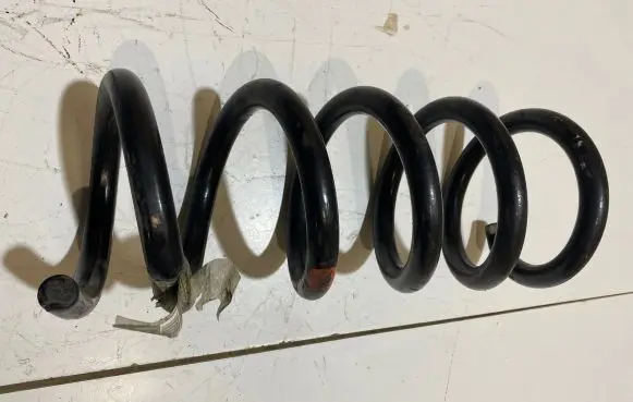 Ford Mustang VI Rear coil spring JR3C5560KA