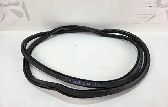 BMW X7 G07 Front door rubber seal 
