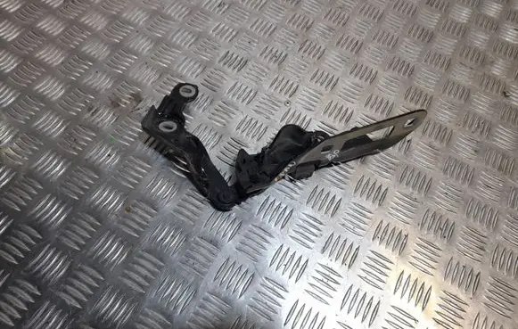 Porsche Panamera (970) Engine bonnet/hood hinges 97051115202