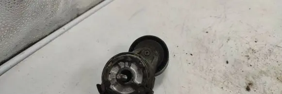 Citroen Berlingo Timing belt tensioner pulley 