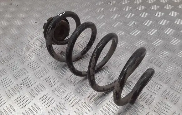 Nissan Qashqai Rear coil spring