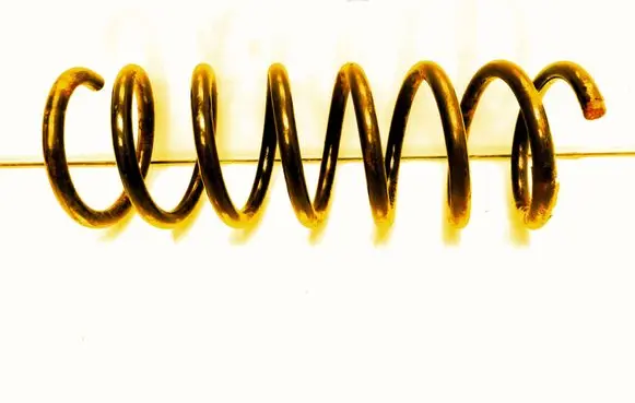 Rear coil spring