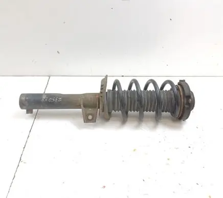 Volkswagen PASSAT B7 Front shock absorber with coil spring 3C0413031N