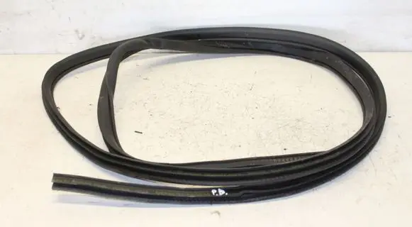 Nissan Qashqai Front door rubber seal