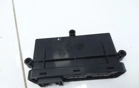 Tesla Model S Door control unit/module 100310100C
