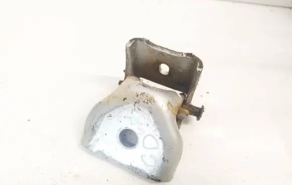 Citroen C3 Rear door lower hinge