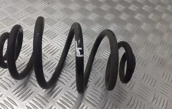 Volkswagen PASSAT B5.5 Rear coil spring