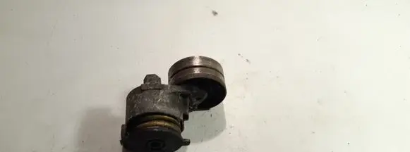 Renault Megane II Alternator belt tensioner 