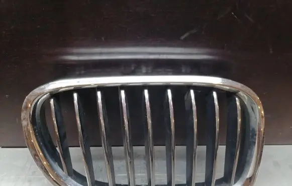 BMW 7 F01 F02 F03 F04 Front bumper upper radiator grill 7295298 7295300