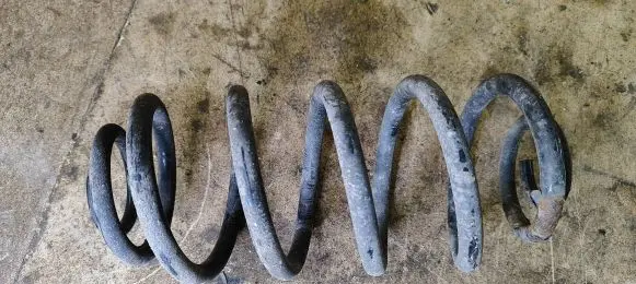Rear coil spring