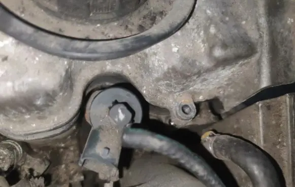 Fiat Bravo - Brava Fuel injector 0445110002