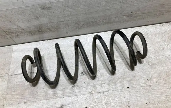 Rear coil spring