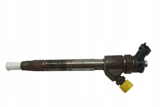 Citroen C3 Fuel injector 0445110955