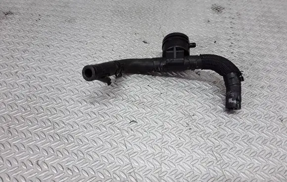 Volkswagen Phaeton Fuel line/pipe/hose 038906081B