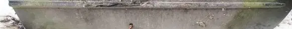 Ford Scorpio Front door trim (molding) 