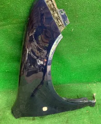 Skoda Fabia Mk1 (6Y) Fender